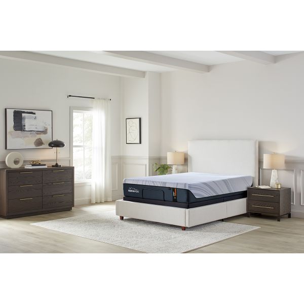 TEMPUR-PEDIC® Tempur-Align® 2.0 Firm Memory Foam